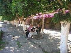 VOYAGE a ORAN du 30-06 au 6-06 2008 (353)